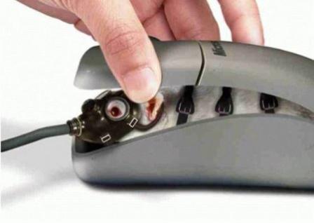 Microsoft Mouse